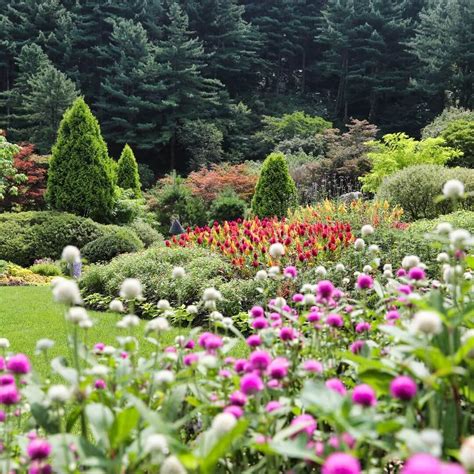 The Garden Of Morning Calm A Botanical Paradise In Gyeonggi Do