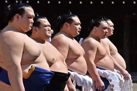 Sumo Nhật Bản Top Những SỰ ThẬt Có Thể Bạn Chưa Biết