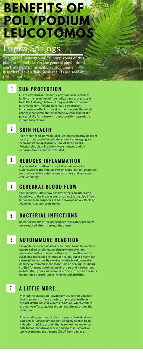 Polypodium Leucotomos Is A Wonder Plant For Autoimmune Disorders And