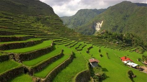 Soar Over The Lush Rice Terraces Of The Philippines