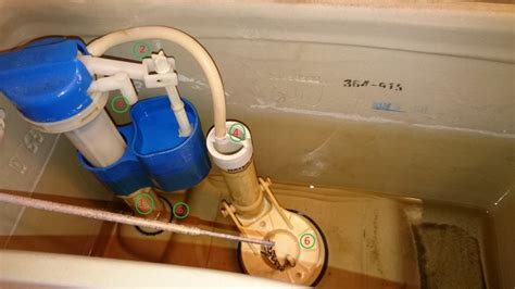 Remove tank, unbolt toilet from. Water level, refilling, and leaks in toilet | Terry Love ...