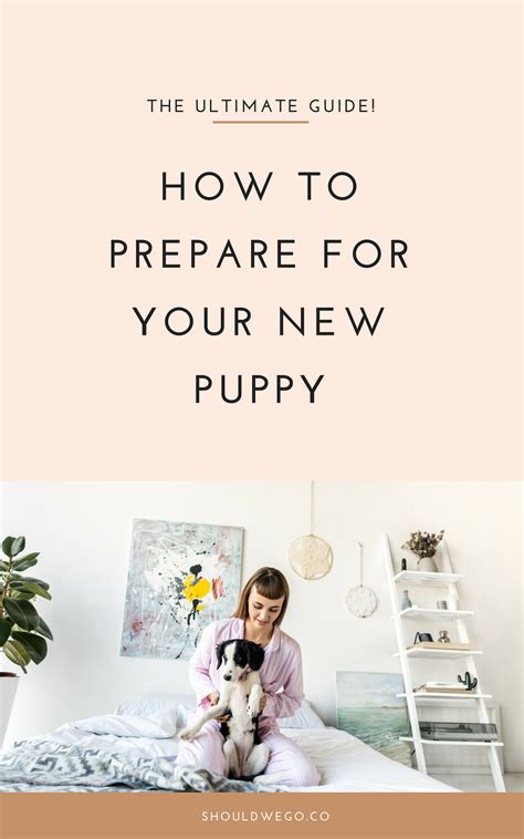 the ultimate guide to prepare for your new puppy