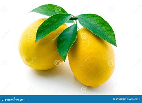 Citrons Avec Des Feuilles Disolement Sur Le Blanc Photo Stock Image