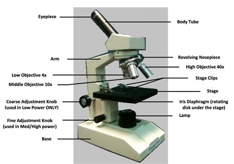 Cool Partie Du Microscope 2022