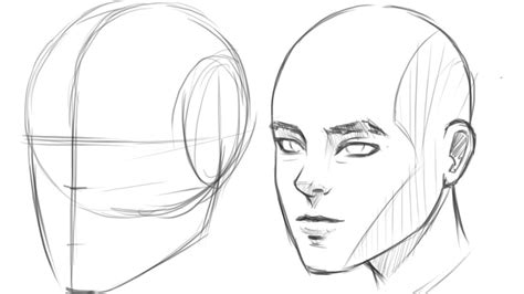 How To Draw Human Head 34 View Drawing Tutorial Face Human Drawing