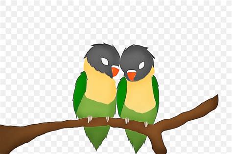 Bird Green Beak Parrot Cartoon Png 1800x1200px Bird Beak Branch
