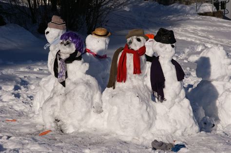 무료 이미지 감기 겨울 날씨 시즌 가족 눈사람 이상한 동결 4592x3056 855027 무료 이미지
