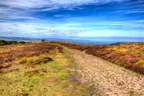 Best Quantock Hills Stock Photos Pictures And Royalty Free Images Istock
