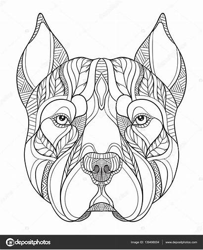 Pitbull Bull Pit Perros Terrier Drawing Zentangle