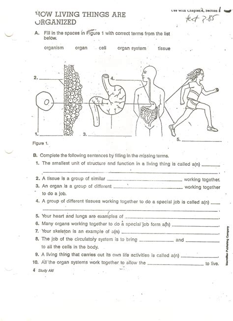 Biology Worksheets For Grade 8 Kidsworksheetfun