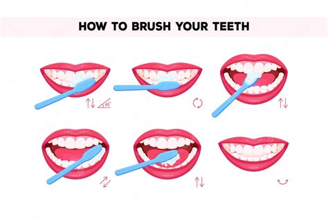 Premium Vector How To Brush Your Teeth Instruction Infographics