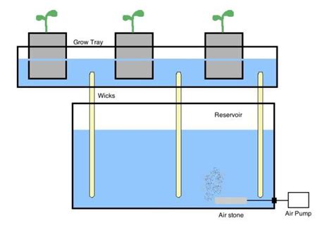 How To Use The Wick System Method In Your Hydroponic Garden With