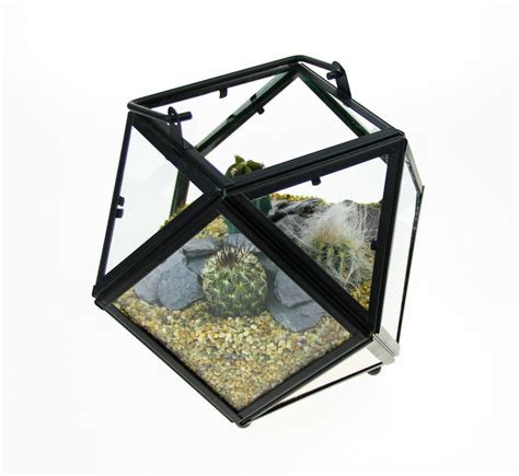 Mini Cactus Terrarium Kit Geometric Design The Art Of Succulents