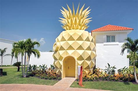 Spongebob Squarepants Pineapple Home Is Now A Real Life