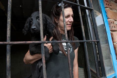 Noahs Ark Animal Shelter Chania Crete Dog Shelter Rachael Flickr