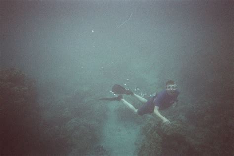 Matt Duckworth Underwater Postcard The Salt Embrace