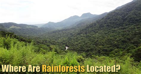 Where Are Rainforests Located List Maps Pictures And Facts
