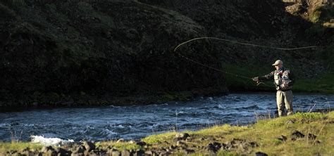 Iceland; Last remaining salmon fishing update - Aardvark Mcleod
