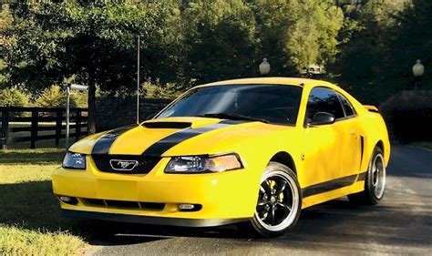 Screaming Yellow 2004 Ford Mustang Gt Coupe Photo