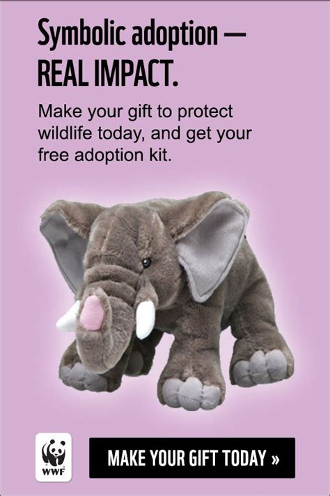 Make Your T To Protect Elephants In The Wild And Send A Stuffed