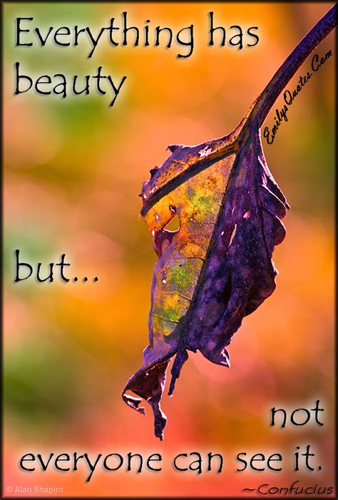 Everything Has Beauty But Not Everyone Can See It Popular Inspirational Quotes At Emilysquotes
