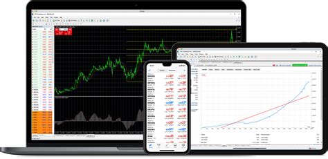 Metatrader Platform Basic Information About Features And Principles