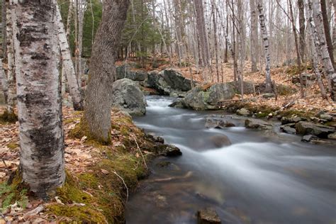 Free Images Landscape Tree Nature Forest Outdoor Rock Creek