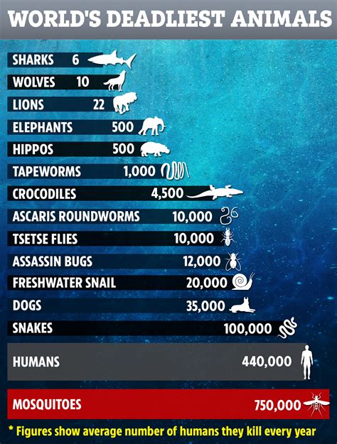 What Animal Kills The Most Humans 2020 2022 🐬 Animalia Lifeclub
