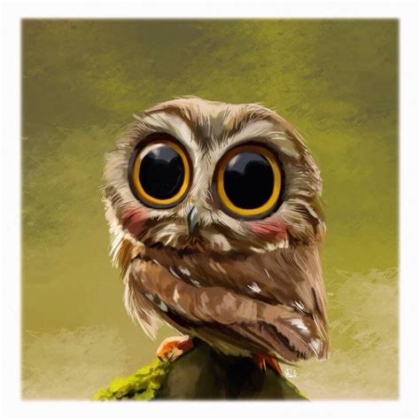Baby Owl Birds Pinterest Lechuzas Pájaro Y Animales