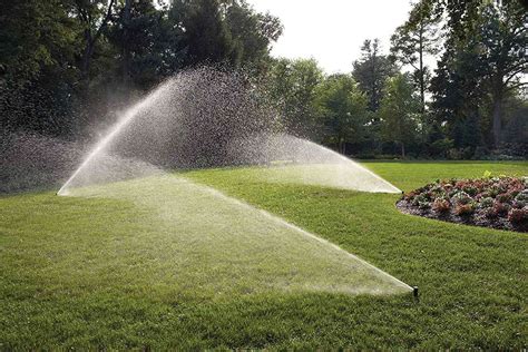 The 8 Best Lawn Sprinklers Of 2023