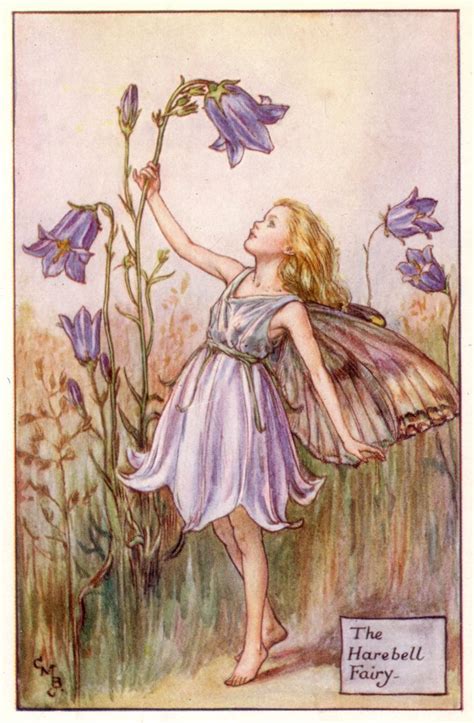 The Harebell Fairy Fairy Drawings Cicely Mary Barker Vintage Fairies