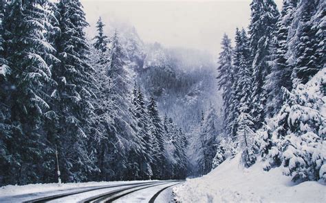 Snow Covered Forest Road Wallpapers Wallpaper Cave