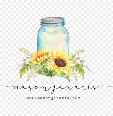 Drawn Mason Jar Sunflower Png Transparent Background Sunflower In