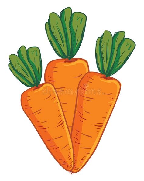 Bunch Carrots Stock Illustrations - 433 Bunch Carrots Stock Illustrations, Vectors & Clipart ...