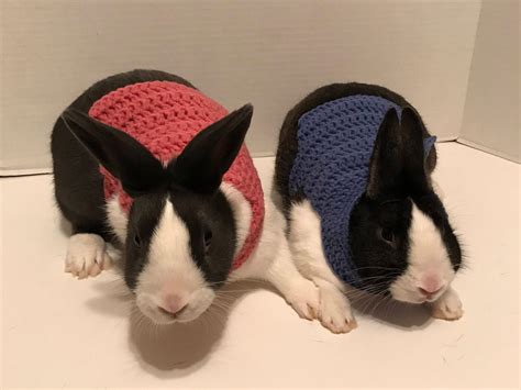 Rabbit Clothes Rabbit Sweater Rabbit Costume Sweater For