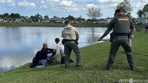 ワニに襲われ85歳女性死亡 犬の散歩中 米フロリダ州 写真4枚 国際ニュース：afpbb News