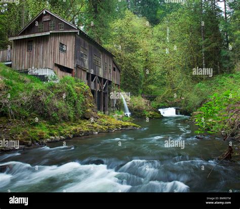 Clark County Wa Cedar Creek Grist Mill 1876 Surrounded By Spring
