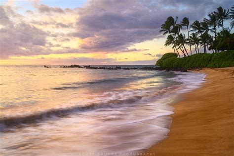 Tropical Delight Maui Hawaii Scott Smorra