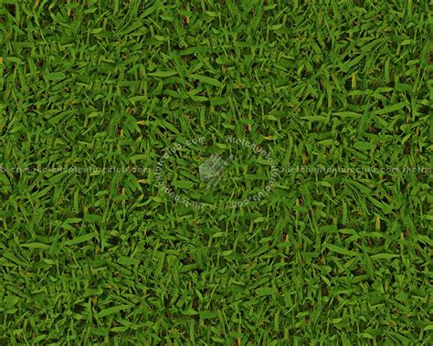 Texture Texture Seamless Grass Images And Photos Finder