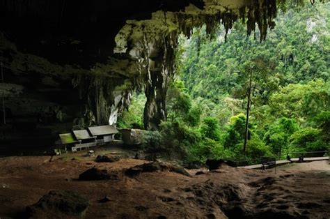 Niah Caves National Park Photo Spot Niah