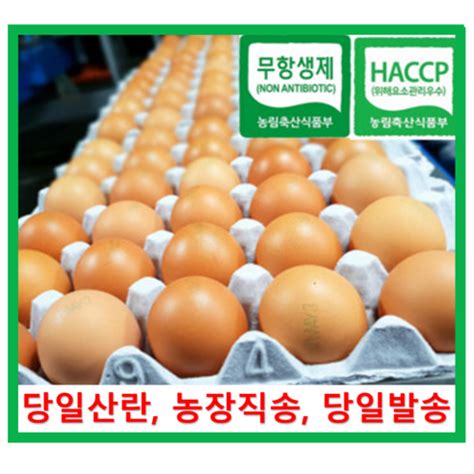 계란 추천 알부자집 친환경계란 특란 30개 도리쇼핑 블로그