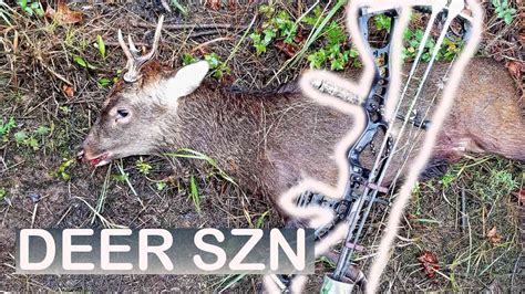 Public Land Sika Deer Archery Hunt Maryland Archery Hunting