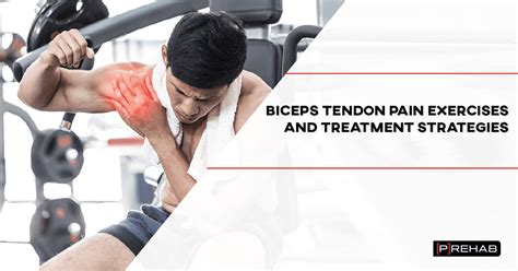 Biceps Tendon Pain Exercises And Treatment Strategies P Rehab