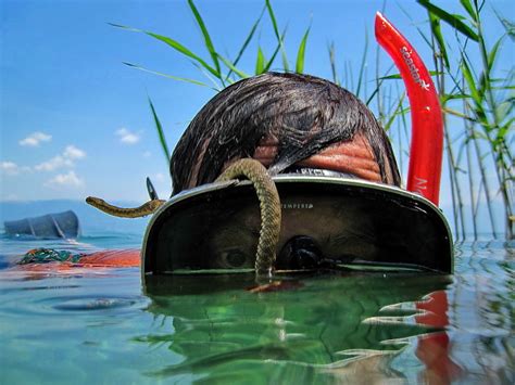 28 Crazy Photographers Who Will Risk Everything For The Perfect Shot