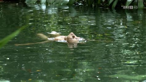Naked Isabell Gerschke In Fluss Des Lebens Verloren Am Amazonas