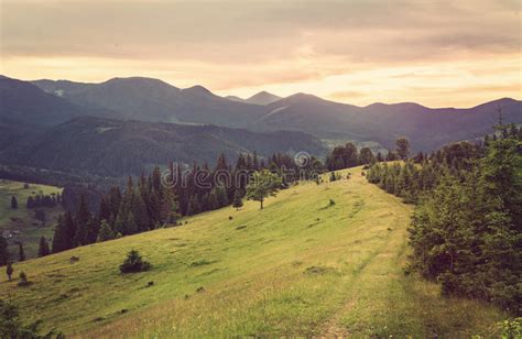 Idyllic Landscape In The Alps With Fresh Green Meadows Stock Photo