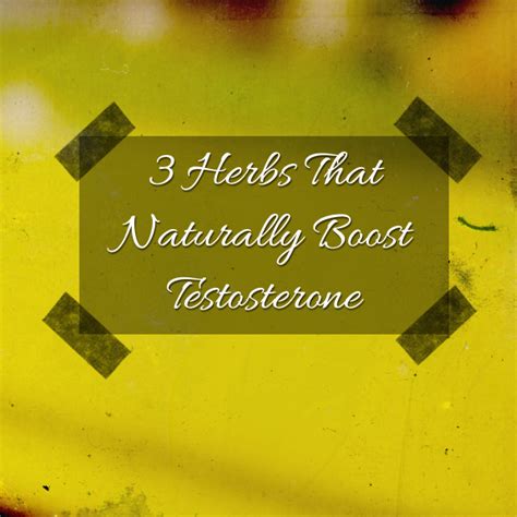 Find out from webmd what you can do to raise your testosterone levels naturally, including changes to your diet and lifestyle. 3 Herbs That Naturally Boost Testosterone