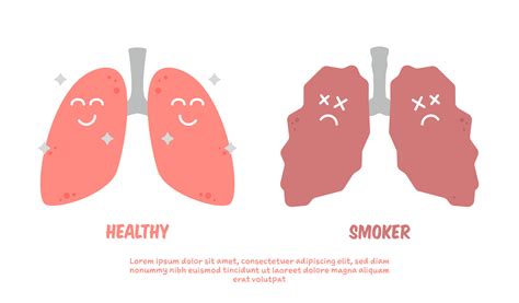 healthy and smoker lung cartoon illustration poster comparison 11621634 vector art at vecteezy