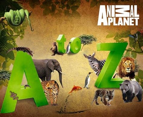 Animal Planet A Z A 52 Week Line Up Of Exhilarating Content Unveiled