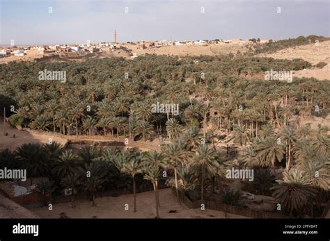 Nefta Tunisia 02nd Mar 2023 Houses Surround A Palm Oasis Credit